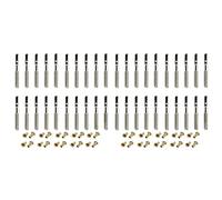 Echwave 40 Pcs Lyre Harp Tuning Pin Nails with 40 Pcs Rivets Set for Lyre Harp Small Harp Musical Stringed Instrument