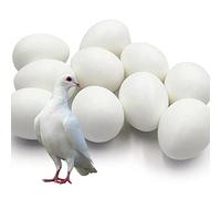 Ecjiuyi 10pcs Solid Plastic Pigeon Eggs Fake Eggs for Racing Pigeons Hatching Supplies