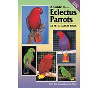 Eclectus Parrots as Pet and Aviary Birds (A Guide to)