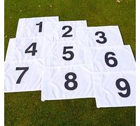 eclipse branding Numbered Golf Pin Tee Flags 1-9 yellow white blue or red with Ties for the pole (1-9 Blue Flags with Ties)