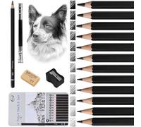 Eclove 12 Pcs Professional Sketching Pencils Set, Soft Graphite Drawing Pencils 4H to 14B, Includes Eraser Sharpener Pencil Extender for Artists, Beginners and Enthusiasts
