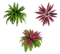 ECMQS 2Pieces Artificial Dracaena Plant for Terraces