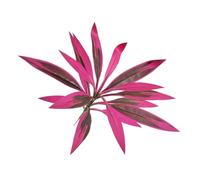ECMQS Artificial Brazilwood Dracaena Tree with Silk, Purple red, A
