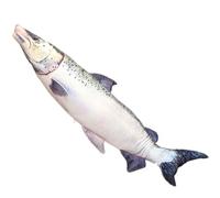 ECMQS Marine Life Pillow Sustainable Soft Toy, Salmon 80CM | Soft and Warm, Family Oriented Plan, Decorative Pillow for Modern Homes, Multiple Functional Use