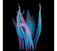 ECMQS Realistic Silicone Plant Artificial Seaweeds Silicone Seaweeds Decor Realistic Fish Tanks Ornament Decorations