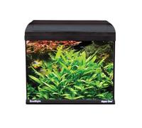 Eco 32cm Aquarium - 14L Black Rectangular Fish Tank