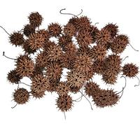 Eco Animal Pet Products Sweet Gum Tree Seed Pods - All Natural Bioactive Ball Accessories for Isopods, Reptiles, Amphibians, and Shrimp (Pack of 50) 7 OZ