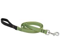 Eco by Lupine 3/4-Inch Recycled fibre Padded Handle Leash 6-feet for Medium to Large Dogs, Moss