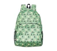 ECO CHIC Lightweight Foldable Water Resistant Backpack Rucksack Folds into Pouch for Storage (Labradors Green)