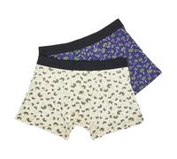 ECO CHIC Men's Bamboo Boxers Breathable Hot and Cold Weather Underwear (Palm Tree Set of 2, XL)
