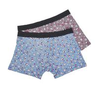 ECO CHIC Men's Bamboo Boxers Breathable Hot and Cold Weather Underwear (Sports Balls Set of 2, L)