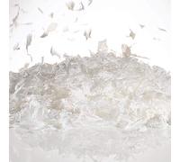 Eco Fake Falling Snow - plant based artificial snow 5kg