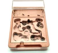 Eco-friendly Ant Nest Farm Transparent PP Plastic Ant House Ant Castle Ant Breeding Box Ant Villa Ant Feeding Box Ant Research Science Experiment Gift