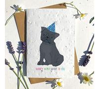 Eco-Friendly Biodegradable Seed Paper plantable Birthday Card Traditional Cute Pug Black WOOFY WOOF (Single Card)