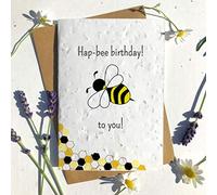 Eco-friendly biodegradable seed paper plantable birthday card traditional HAP-BEE BIRTHDAY CUTE BEEHIVE (Single card)