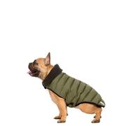 Eco Friendly Dog Puffer Jacket Lloyd