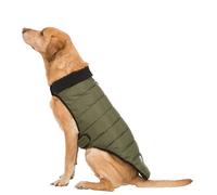 Eco Friendly Dog Puffer Jacket Lloyd