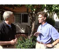 Eco-Friendly Living: How to Have a Greener Home