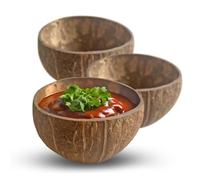 Eco Leaf 10-Pack 350ML Natural Coconut Bowls| Natural Coconut Shell Bowls for Salads, Smoothies, Buddha Bowls, Desserts | Reusable, Eco-Friendly & Sustainable for Parties & Storage