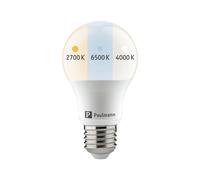 Eco-Line LED Filament Candle Bulb E14