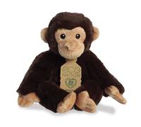 Eco Nation Chimpanzee (Paperback Book)