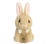 Eco Nation Mini Bunny (Paperback Book)
