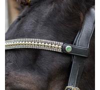 ECO Rider Freedom Grace Browband Cob Black