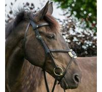 ECO Rider Freedom Grackle Bridle Cob Brown