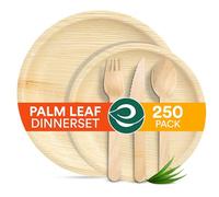 ECO SOUL Palm Leaf Plate Set of 250 for 50 Guests [10", 6" Round Plates, Fork, Knife, Spoon, 50 Count Each] | Biodegradable Disposable Dinnerware for Christmas Dinner, Parties, Wedding & Event