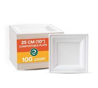 ECO SOUL Square Paper Plates (25Cm) 10" [100-Pack] Heavy Duty Compostable Sugarcane Bagasse Dinner Plates | Eco Friendly Biodegradable Disposable Plate for Christmas Dinner, Parties & Events