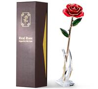 ECO SPACE Gold Dipped Rose - Hand-Dipped Real 24K Gold Rose - Genuine One of a Kind - Eternal Romantic Present for Her - Perfect for Valentines, Mother's Day, Anniversary, Birthday (Red)