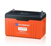 ECO-WORTHY 12.8V 300AH LiFePO4 Battery with Bluetooth & SOC LEDs, Bulit-in 200A BMS, Low-Temp Protection, 15000+ Deep Cycles, 3840Wh Energy for Off-Grid, RV, Solar Power System, HomeBackup