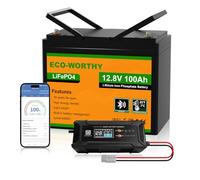 ECO-WORTHY 12V 100Ah LiFePO4 Bluetooth with 12/24V 20A Charger for Solar System Complete Set