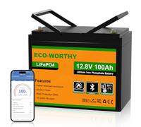 ECO-WORTHY 12V 100Ah LiFePO4 Leisure Battery Group 24 Bluetooth,Low-Temp