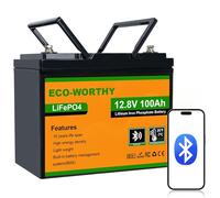 ECO-WORTHY 12V 100AH LiFePO4 Lithium Leisure Battery with Bluetooth, Low Temperature Protection, 6000-15000 Deep Cycles for RV, Campervan, Home Energy Storage