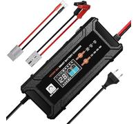 ECO-WORTHY 12V/24V 20A LiFePO4 Battery Charger with Multi-Current Options 5A/10A/15A/20A,Automatic Detection Voltage Lead Acid LiFePO4 Battery