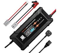 ECO-WORTHY 12V/24V 20A Smart LiFePO4 Battery Charger with UK Plug,Support Lithium,AGM,SLA Battery Charging with Activation and Trickle Maintenance for LiFePO4 Batterie