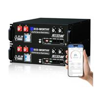 ECO-WORTHY 2-Pack 48V 100AH LiFePO4 Battery (Cubix 100), 10.24kWh Server Rack Battery with Bluetooth & WIFI for Solar Energy Storage Home, Shed
