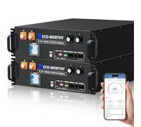ECO-WORTHY 2-Pack 48V 100AH LiFePO4 Battery(Version 3),10.24kWh Server Rack Battery with Bluetooth & WIFI,for Home,Shed