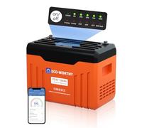 ECO-WORTHY 24V 100AH Lifepo4 Lithium Battery Bluetooth with SOC LEDs, Bulit-in BMS, Low Temp Protection, 15000+ Deep Cycles, 2560Wh Energy for Off-Grid, RV, HomeBackup,Solar Power System