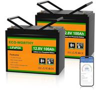ECO-WORTHY 2Pack 12V 100AH LiFePO4 Battery for RV, Boat, Camping,Off Grid System-Group 24 Size with Bluetooth & Low Temp Protection