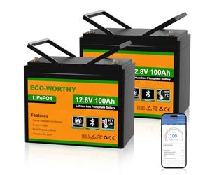 ECO-WORTHY 2Pack 12V 100AH LiFePO4 Battery for RV, Boat, Camping,Off Grid System-Group 24 Size with Bluetooth & Low Temp Protection
