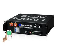 ECO-WORTHY 48V 100AH LiFePO4 Lithium Battery,5.12kWh Capacity Server Rack Battery with Bluetooth,6000+ Cycles,Suitable for 3U Cabinets,Ideal for Off-Grid Solar Systems, Home Backup Power