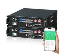 ECO-WORTHY 48V 200Ah LiFePO4 Lithium Battery (2 Pack 48V 100AH), Server Rack Battery with Bluetooth,10.24kWh Capacity, 6000 Deep Cycles, 3U Chassis, Ideal for Off-Grid, Solar, Energy Back-up