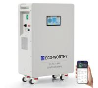 ECO-WORTHY 48V 314Ah(V1) LiFePO4 Lithium Battery,16.1kWh High Capacity Energy Storage,200A PACE BMS Dual 125A Circuit Breakers,Floor-Standing Design for Off-Grid, Solar,and Whole-Home Backup Powerwall