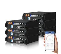 ECO-WORTHY 48V 600AH LiFePO4 Battery,30.72kWh Server Rack Battery(Version 3) with Bluetooth & WIFI,for Home Power Storage, Off-Grid Energy Back-up (Buy Batteries Get Server Rack)