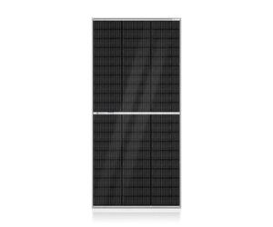 ECO-WORTHY Bifacial 195 Watt 12Volt 18BB N-Type Monocrystalline Solar Panel | 1pcs 195W Power Generation High Efficiency PV Solar Panel for Motorhome, Vans, Campervan, Caravan, Boat, Home Off Grid