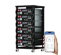 ECO-WORTHY CUBIX100 6x48V 100Ah LiFePO4 Server Rack Battery for Storage