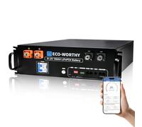 ECO-WORTHY LiFePO4 Battery 48V 100AH,5.12kWh Server Rack Battery (Version 3) with Bluetooth & WiFi,for Home,Shed,Workshop