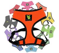 EcoBark Dog Harness - Luxurious Soft Mesh - Eco-Friendly Over The Head Vest Harness - No Pull & No Choke Design - Padded Breathable Body Halter - Large Puppies & Medium Breeds (XL, Orange)